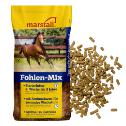 marstall Fohlen-Mix