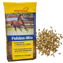 marstall Fohlen-Mix