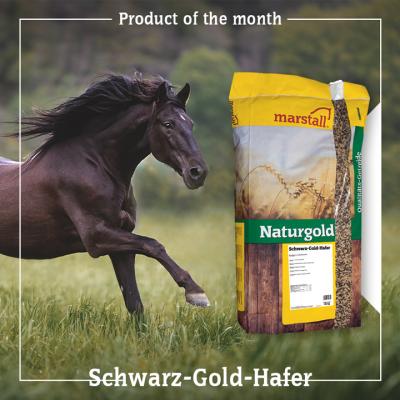 Naturgold Schwarz-Gold-Hafer (ganz)